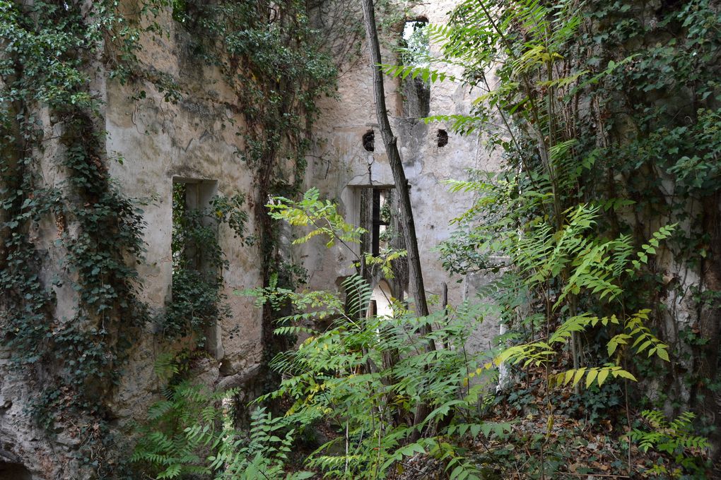 Le Boussous à Saint-Paul-Trois-Châteaux (Drôme 26130)