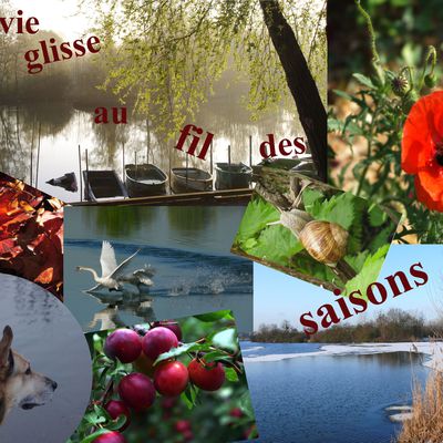 La vie glisse au fil des saisons