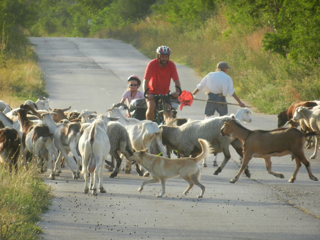 Album - Photos-Bulgarie