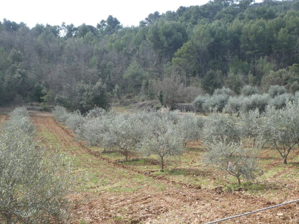 Rando du 1 Avril -Nans les Pins