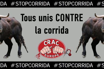 Toulouse : rassemblement, samedi, pour dire "Stop à la Corrida" !