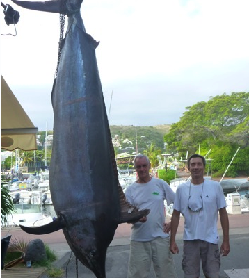 Qui a dit qu'il n'y avait plus de poisson dans la mer ?