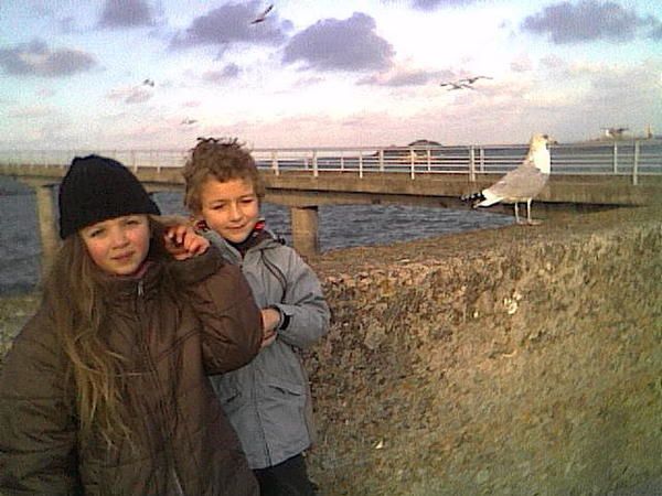 Voici des photos des animaux qui nous entourent, ils font partie de notre vie, pour le meilleur et pour le pire, et resteront dans notre coeur pour toujours... Et voici aussi la famille !