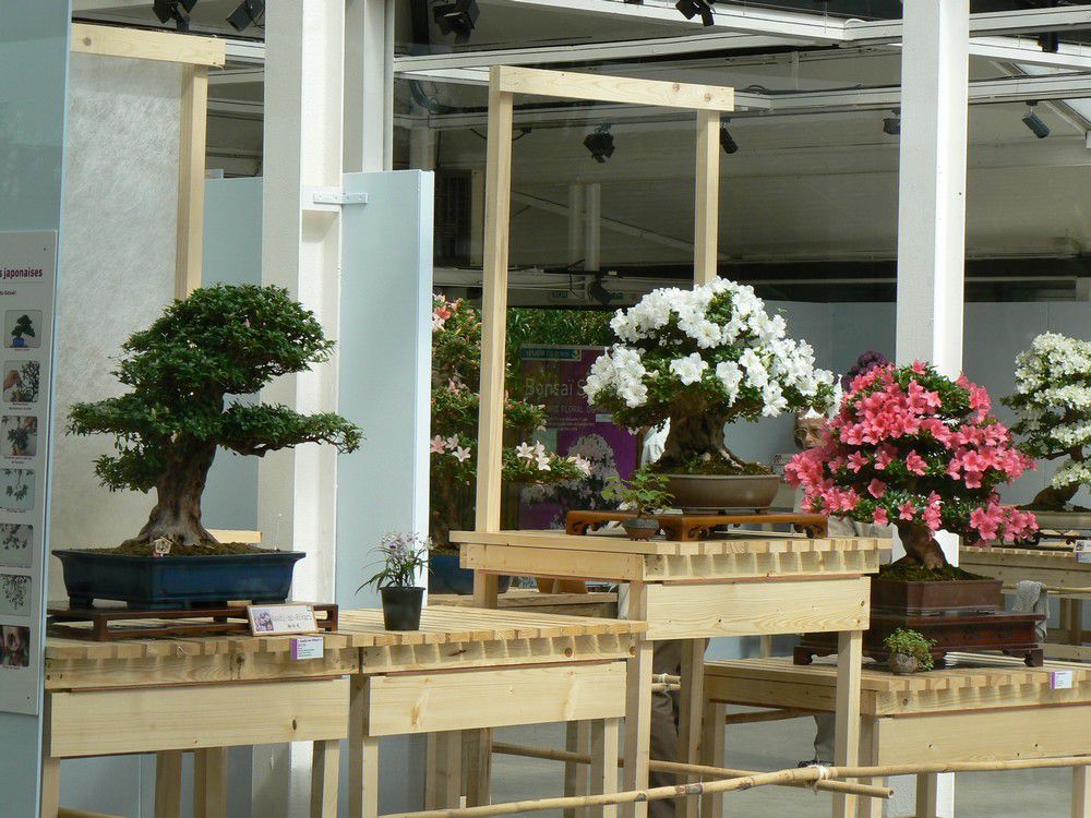 Le parc floral de Paris est un parc urbain et un jardin botanique situé dans le Bois de Vincennes, dans le 12e arrondissement de Paris.
