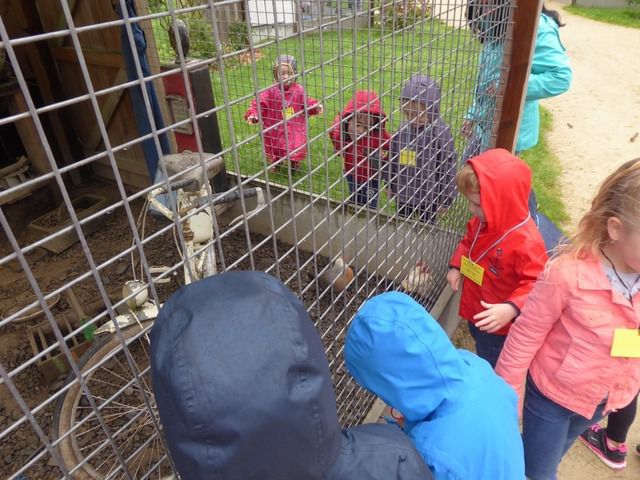 Album Brocéliande Maternelle