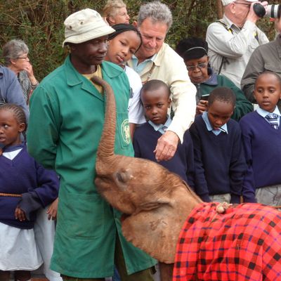 Nairobi (Orphelinat des éléphants et maison de Karen Blixen)