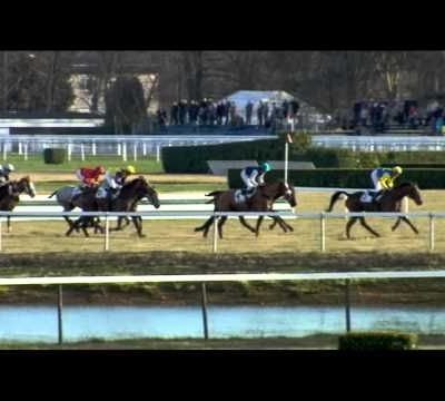 Grand Cross de Pau 2013 : Reste Demohaison