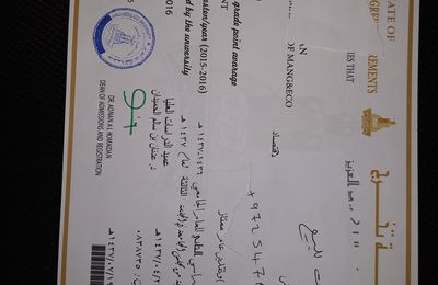 شهادات جامعية معتمدة ومصدقة فى السعودية شهادات جامعية سعودية بكالوريوس للبيع الدفع بعد الانجاز