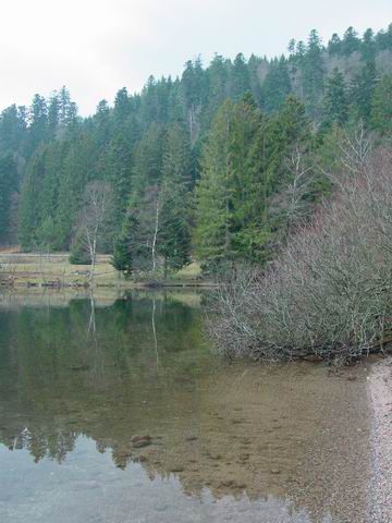 <P><FONT color=#0000ff><STRONG>au pied de la ROUTE des CRETES</STRONG></FONT></P>
<P><FONT color=#0000ff><STRONG>le lac de LONGEMER</STRONG></FONT></P>