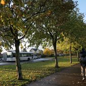 Randonnée Vernouillet à Beynes - 22,5 km. - Carnets de r@ndos et de voy@ges...