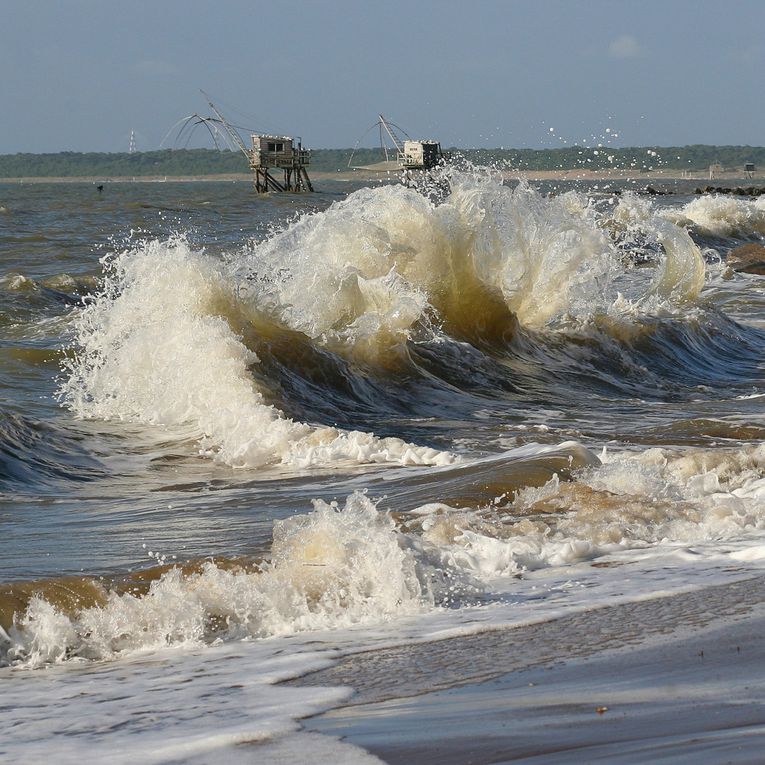 Album - Dunes et Plages