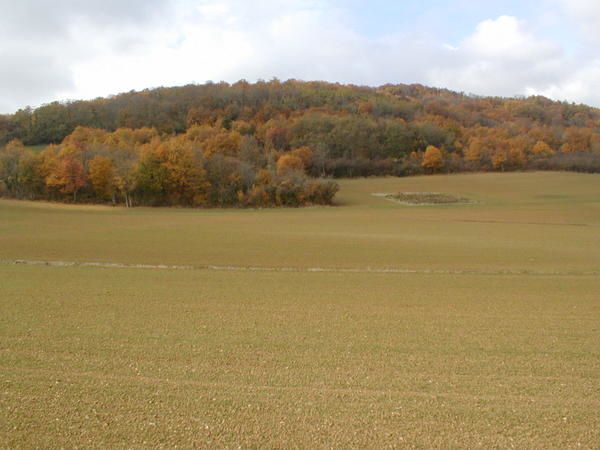 Album - images-de-notre-bourgogne