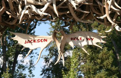 JACKSON HOLE (Parcs du Grand Téton + Yellowstone partie 3)