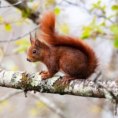 Découvrez les mares et leurs habitants !