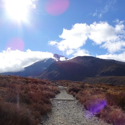 Neuseeland - Tongariro Nationalpark