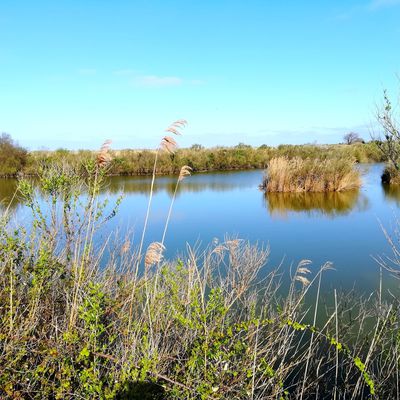 Les plaines du Teich et le Domaine de Fleury