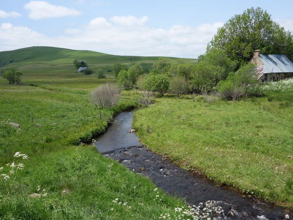 Les chemins sont variés et rendent la traversée du massif du Cézalier très agréable.