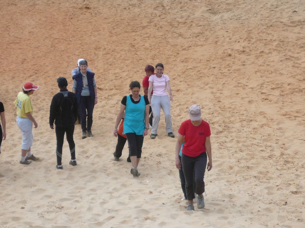 LES ZOUGLOUS 2010-2011 ont pu enfin faire leur première sortie sur les dunes de SAULX LES CHARTREUX et la belle forêt .Une sortie pic-nique est prévue bientôt dans le même lieu .je vous laisse apprecier les photos