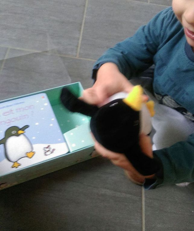 Coffret livre et peluche Pinguin - Usborne