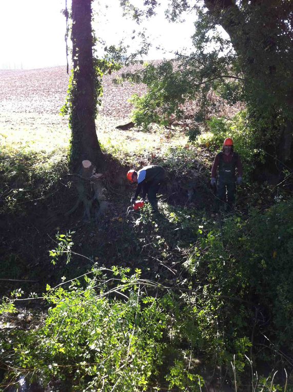 Entretien des berges de l'Auvignon en octobre 2010