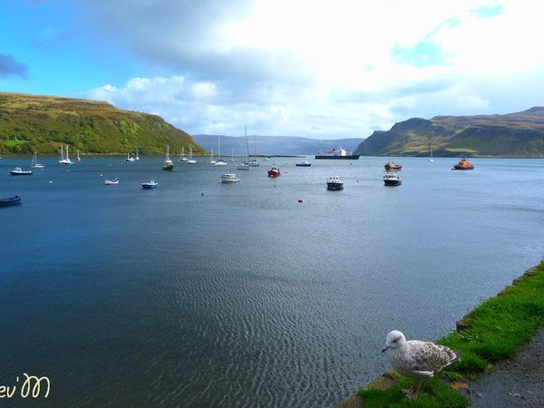 Et voilà enfin Portree.