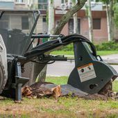 Stump Grinding & Stump Removal Services in Maryland, USA