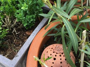 Couture &quot;zéro déchet &quot; au jardin et autres nouvelles créations ...