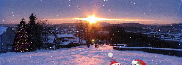 Noël chez les Toutounes déjantées