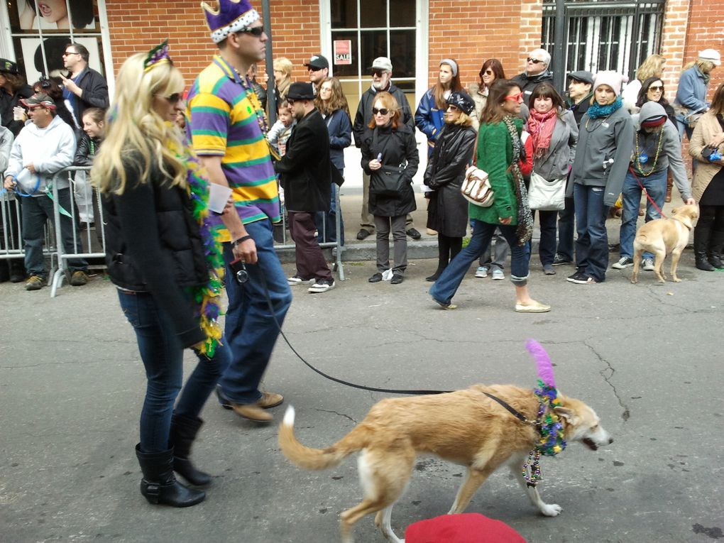 Première parade de notre premier carnaval.