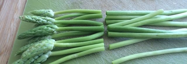 Tarte aux asperges des bois et au parmesan