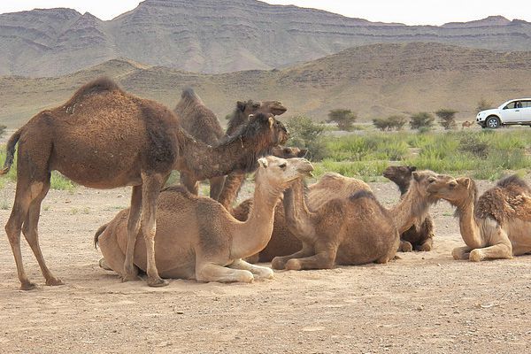 Des richesses naturelles