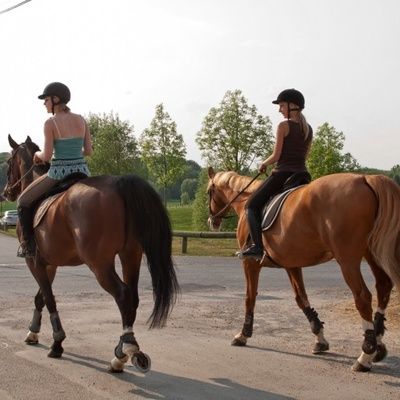 Louer un cheval pour une rando : à quoi faire attention ?