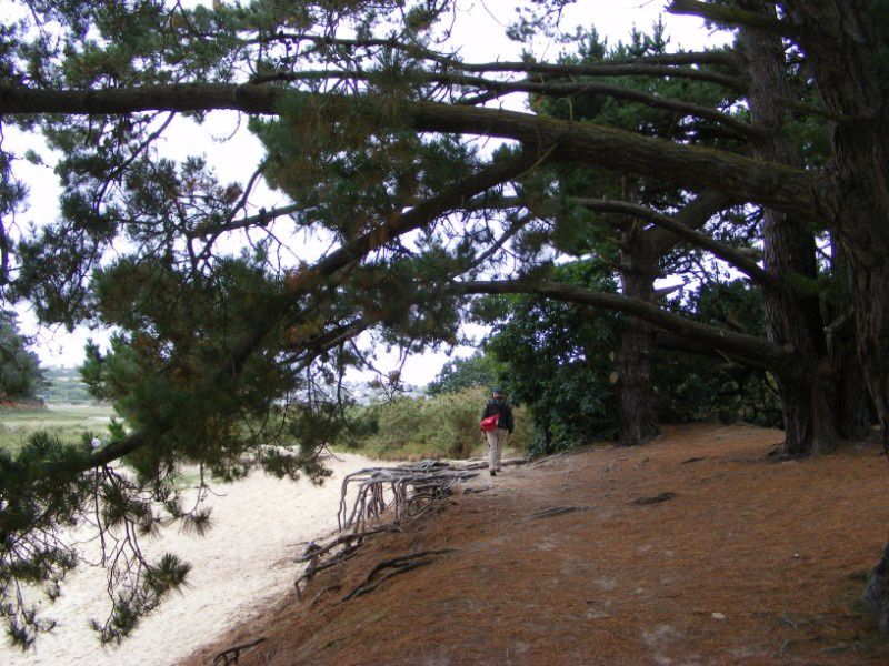 brest - le conq - loc maria plouzané  -ploudalmèzeau - sable blanc - argenton (blanc sablons) - la presqu'île de kermorvan - porspoder lanildut