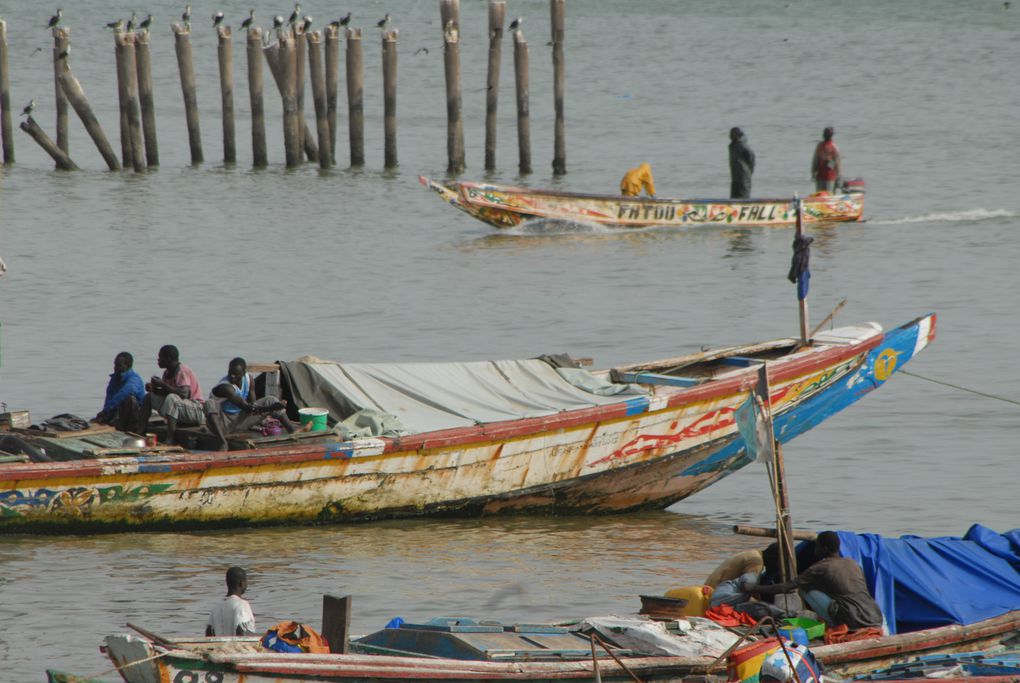 Album - Senegal