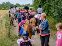 Stage initiation à l'équitation Comines: dernière journée 24-28/07/2017