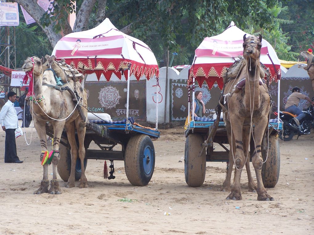 Pushkar