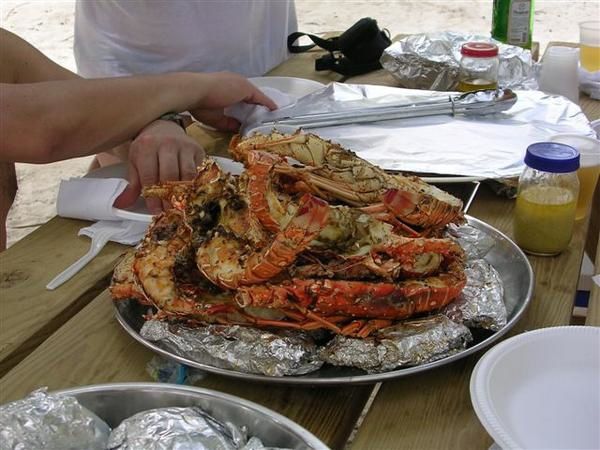 Mon voyage en 2006 en RP de trois semaines péninsule de samana, cabarette et bayahibe avec excursion géniale à l'ile de saona