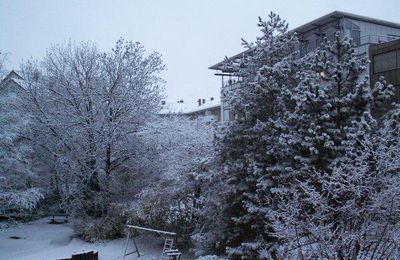 Première neige