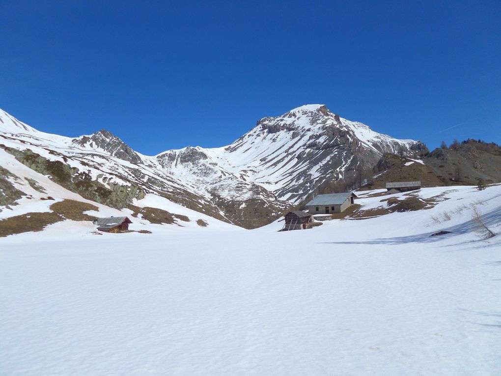 départ du parking (1966m) au dessus de Brunissard , montée à pied jusqu'au Pré Premier , puis montée à ski de fond (avec 1/2 peaux) jusqu'au Collet Haut (2207m) , puis jusqu'aux Chalets de Clapeyto (2250m) !