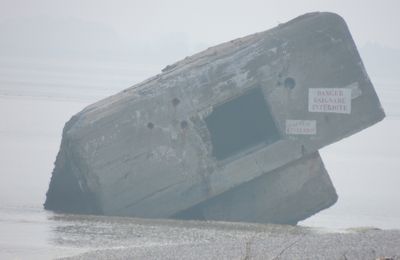 Amitiés de Cayeux sur Mer (Baie de Somme)