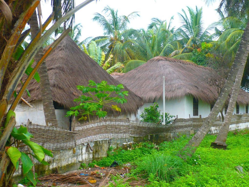 Album - La Casamance