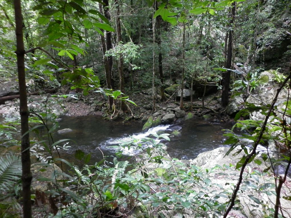 Album - Cairns---Rainforest.-Waterfalls--Beach