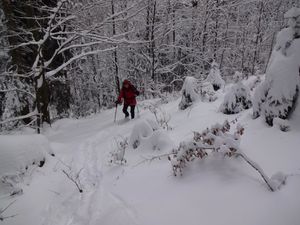 Quelques passages hors piste, volontaires et involontaires (lorsque le sentier devient invisible sous la neige)