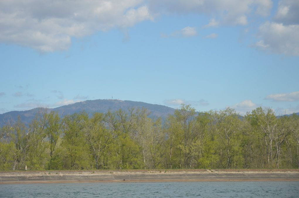 16.04.22 Von Breisach nach Niffer ins Nirwana