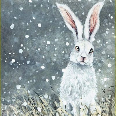 lapins, lièvres en peinture et illustrations -   Maggie Vandewalle