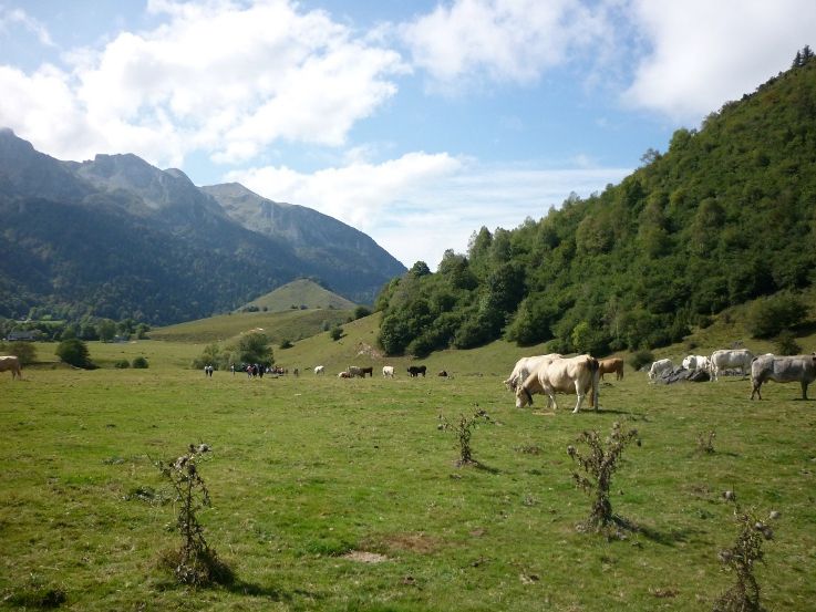 Histoire des Pyrénées