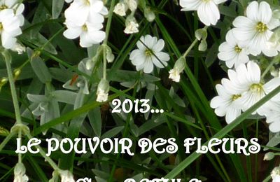 le pouvoir des fleurs