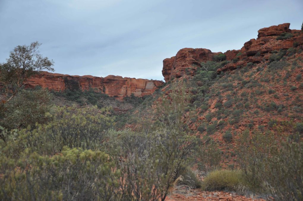 Album - Route vers Kings Canyon et Kings Canyon