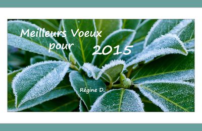 Voeux 2015