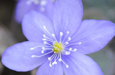 Nu ist es amtlich "Frühling"